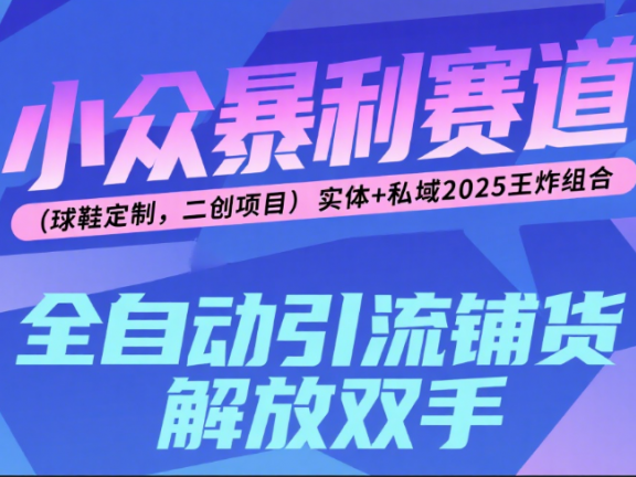 楠—小众暴利赛道（球鞋定制，二创项目）实体+私域2025王炸组合